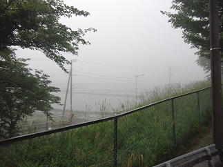 『asa02』の画像