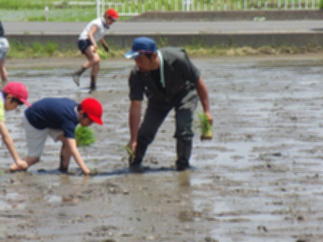 『taue03』の画像