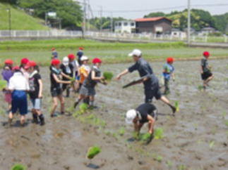 『taue06』の画像