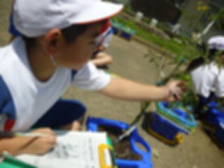 『seikatsu04』の画像
