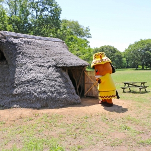 『みほーす活動記録（陸平公園散策）』の画像