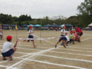 『H29undokai12』の画像