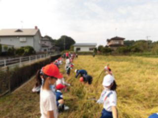 『5neninekari01』の画像