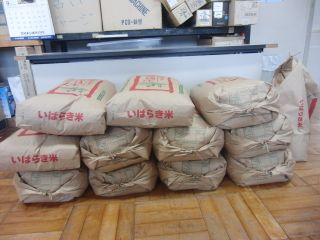 『kome02』の画像