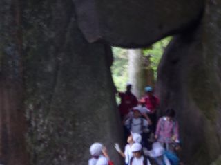 『H29_3nentsukuba09』の画像