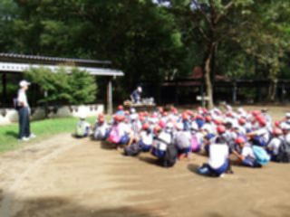 『H29_shkuhaku201』の画像