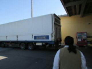 『H29benimaru04』の画像