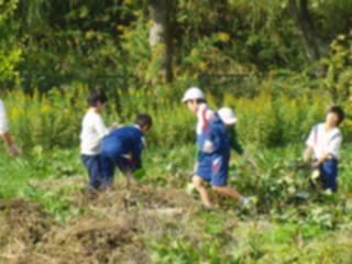 『H29 imohori03』の画像
