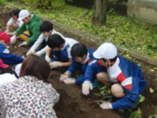 『H29 imohori05』の画像