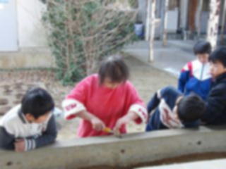 『H30 potato03』の画像