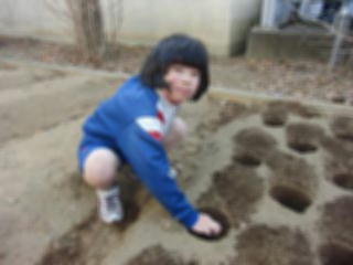 『H30 potato06』の画像