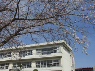 『H30 sakura03』の画像