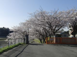 『H29rininshiki01』の画像