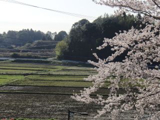 『H29rininshiki02』の画像