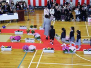 『H30 nyugaku19』の画像
