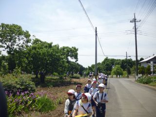『H30 murawalk03』の画像