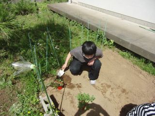 『H30 natsuyasai04』の画像