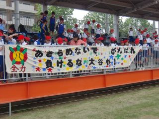 『H30 rikujo5nen01』の画像