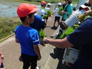 『H30 taue01』の画像