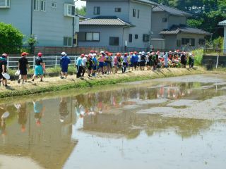 『H30 taue02』の画像