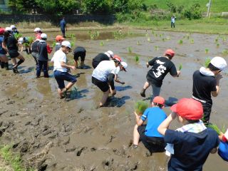 『H30 taue06』の画像