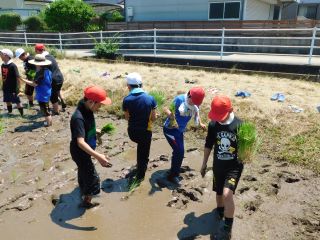 『H30 taue07』の画像