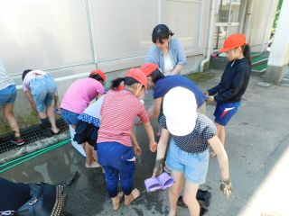 『H30 taue10』の画像