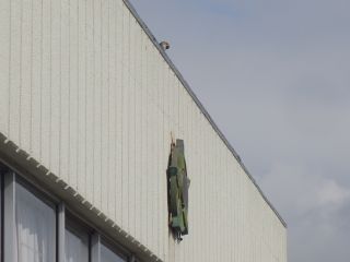 『H30 suzume04』の画像