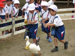 『H30 1nentrip02』の画像