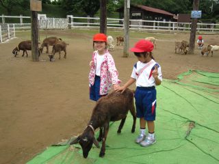『H30 1nentrip03』の画像