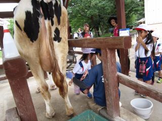 『H30 1nentrip08』の画像