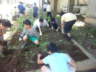 『H30 tokushipotato203』の画像