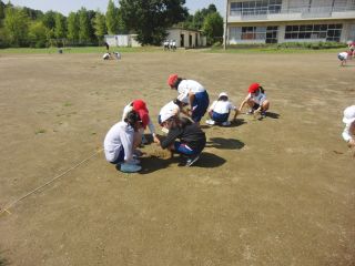 『H30hosi109』の画像