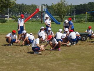 『H30hosi110』の画像
