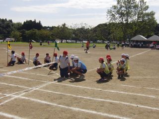 『H30yoko06』の画像
