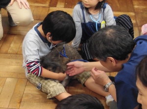 11/6-2 『11/6-2』の画像