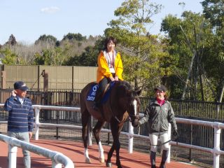『H30 joba09』の画像