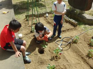 『H31naeue06』の画像