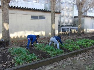 『R2ochiba05』の画像