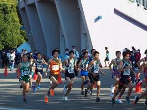 『駅伝(2)』の画像