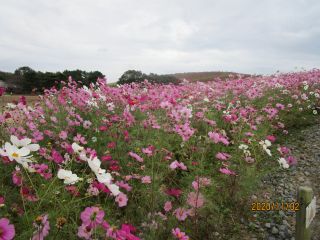 『6 ensoku (788)』の画像