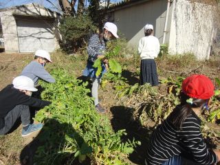 『R2daikon202』の画像