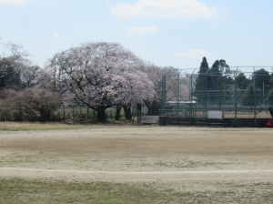 R2修了(4) 『R2修了(4)』の画像