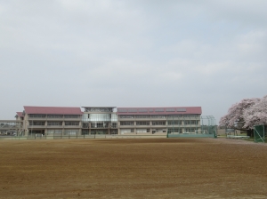 『校舎桜』の画像