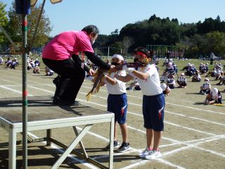 『R3運動会32』の画像