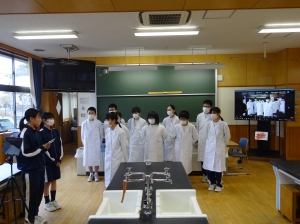 桜杏祭科学 『桜杏祭科学』の画像