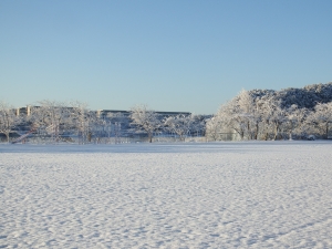 『雪景色02』の画像