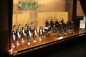 R4桜杏祭(3) 『R4桜杏祭(3)』の画像