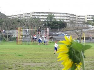 『９月11日写真(1)』の画像