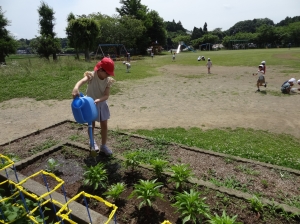 『0620(2)』の画像
